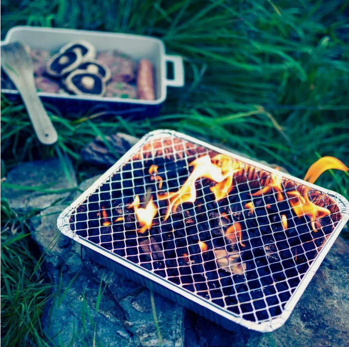 Disposable Charcoal Grill