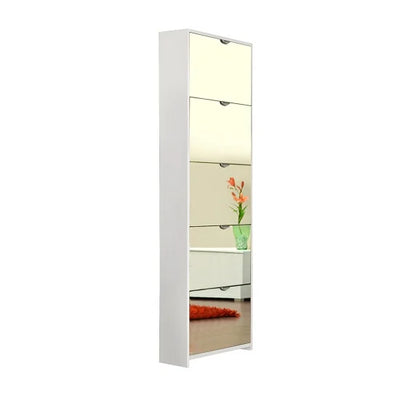 Mirrored Shoes Cabinet